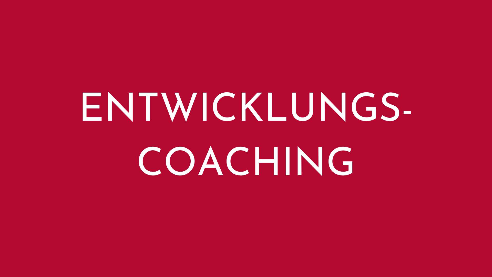 Entwicklungs Coaching